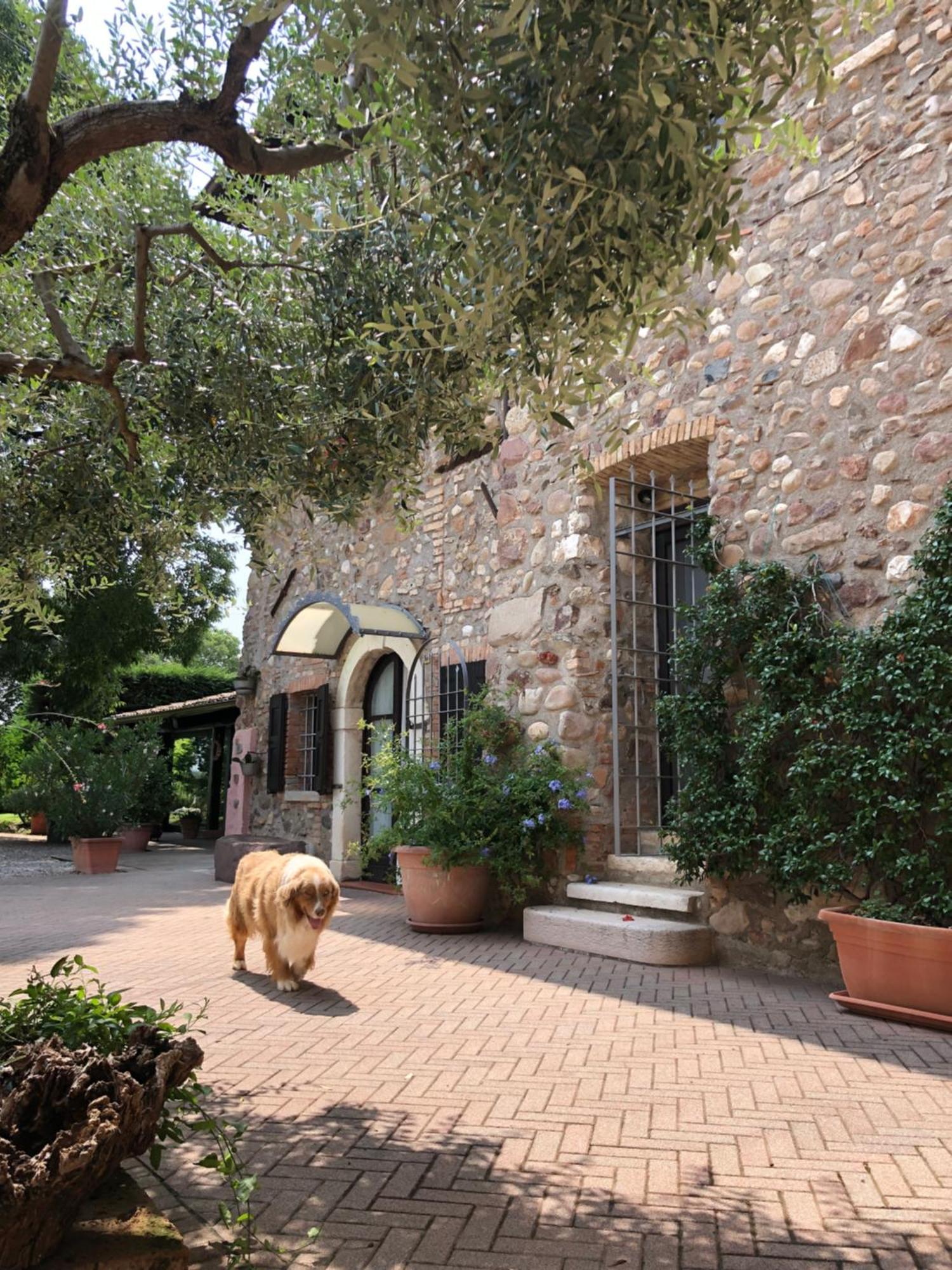 B&B Cascina Mattarelle 蒙赞巴诺 外观 照片