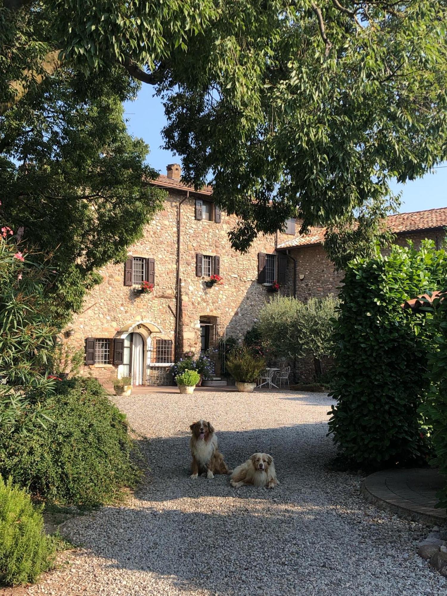 B&B Cascina Mattarelle 蒙赞巴诺 外观 照片